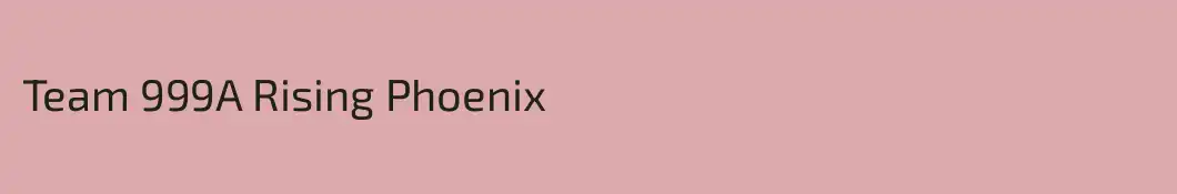 Team 999A Rising Phoenix